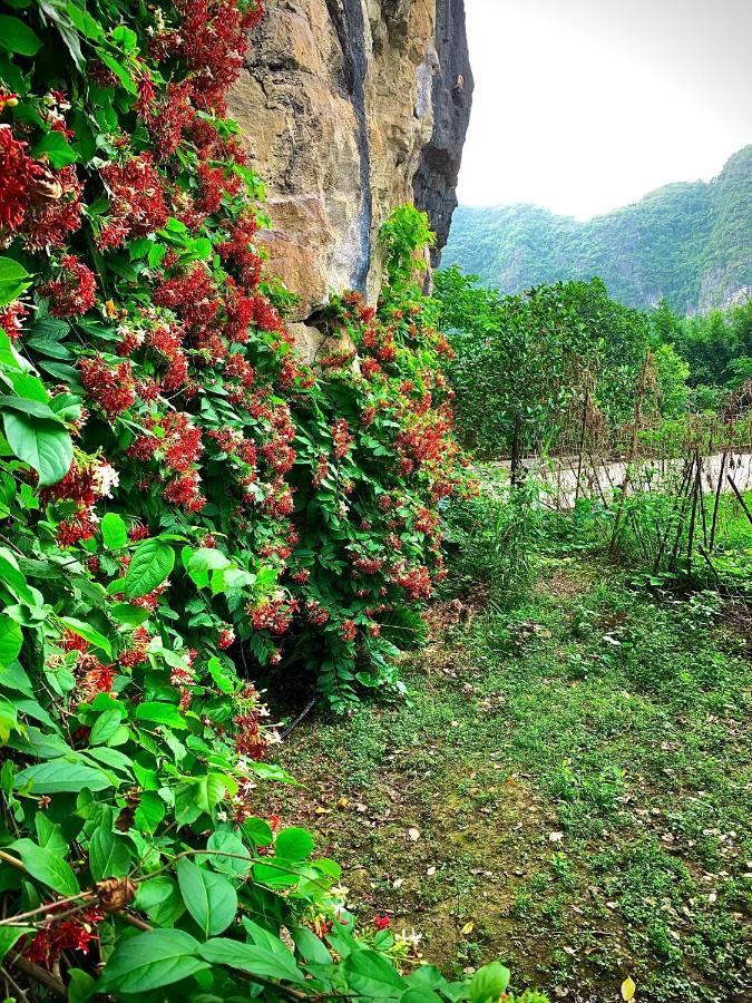 Trang An Valley Bungalow Ninh Binh Eksteriør billede