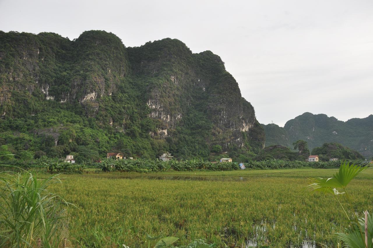 Trang An Valley Bungalow Ninh Binh Eksteriør billede